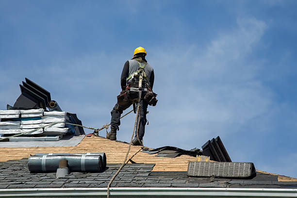Professional Gutter Installation technician working in Fort Collins, CO